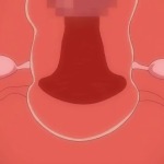 Thumbnail of post image 076