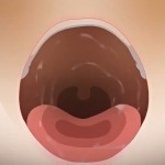 Thumbnail of post image 065