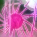 Thumbnail of post image 064