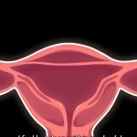 Thumbnail of post image 015