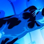 Thumbnail of post image 046