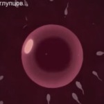 Thumbnail of post image 027