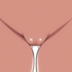 Thumbnail of post image 057